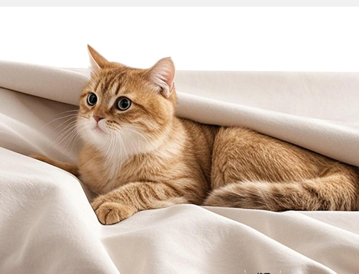 収納付きソファベッド　多機能ソファ省スペース　ペッド対応生地使用　hemw-7872