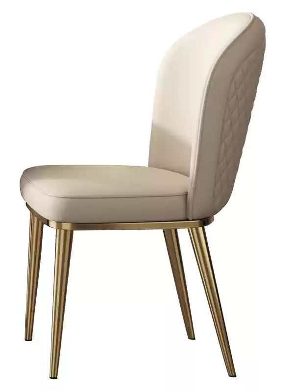 【実店舗展示中】 ダイニングチェア ステンレス使用 スチールフレーム 幅47cm 2脚セット jh-chair-e